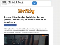 Bild zum Artikel: Dieses Video ist das Brutalste, das du jemals sehen wirst, aber trotzdem ist es so wichtig!