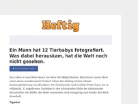 Bild zum Artikel: Ein Mann hat 12 Tierbabys fotografiert. Was dabei herauskam, hat die Welt noch nicht gesehen.