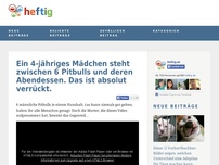 Bild zum Artikel: Ein 4-jähriges Mädchen steht zwischen 6 Pitbulls und deren Abendessen. Das ist absolut verrückt.