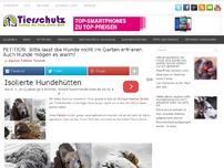 Bild zum Artikel: PETITION: Bitte lasst die Hunde nicht im Garten erfrieren. Auch Hunde mögen es warm!