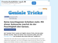 Bild zum Artikel: Keine beschlagenen Scheiben mehr. Mit dieser Autosocke machst du der Feuchtigkeit den Garaus.