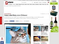 Bild zum Artikel: Kuscheln gegen Kälte: Katze rettet Baby vorm Erfrieren