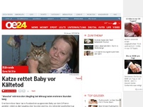 Bild zum Artikel: Katze rettet Baby vor Kältetod