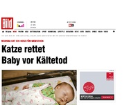 Bild zum Artikel: Herz für Menschen - Katze rettet Baby vor Kältetod