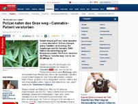 Bild zum Artikel: 'Er könnte noch leben' - Polizei nahm ihn das Gras weg - Cannabis-Patient verstorben