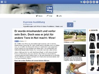 Bild zum Artikel: Er wurde misshandelt und verlor sein Bein. Doch was er jetzt für andere Tiere in Not macht: Wow!