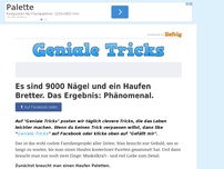 Bild zum Artikel: Es sind 9000 Nägel und ein Haufen Bretter. Das Ergebnis: Phänomenal.