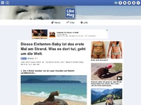 Bild zum Artikel: Dieses Elefanten-Baby ist das erste Mal am Strand. Was es dort tut, geht um die Welt.
