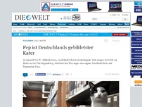 Bild zum Artikel: Kult-Katze: Pep ist Deutschlands gebildetster Kater
