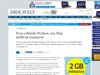 Bild zum Artikel: USA: Frau ertränkt Welpen, um Flug nicht zu verpassen