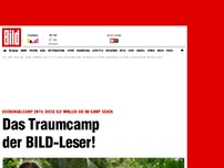 Bild zum Artikel: Dschungelcamp - Das Traumcamp der BILD-Leser!