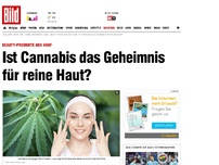 Bild zum Artikel: Akne-frei mit Hanf - Könnte Cannabis Hautprobleme lösen?