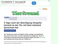 Bild zum Artikel: 5 Tage nach der Beerdigung klingelte jemand an der Tür, mit dem niemand gerechnet hat.