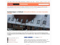 Bild zum Artikel: Hanfplantagen in Holland: Schneefreie Dächer verraten Cannabis-Züchter