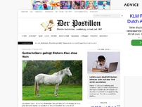 Bild zum Artikel: Gentechnikern gelingt Einhorn-Klon ohne Horn