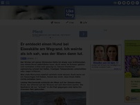 Bild zum Artikel: Er entdeckt einen Hund bei Eiseskälte am Wegrand. Ich weinte als ich sah, was der Mann dann tut.