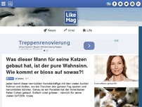 Bild zum Artikel: Was dieser Mann für seine Katzen gebaut hat, ist der pure Wahnsinn. Wie kommt er bloss auf sowas?!