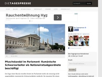 Bild zum Artikel: Pfuschskandal im Parlament: Rumänische Schwarzarbeiter als Nationalratsabgeordnete beschäftigt