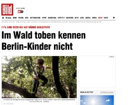 Bild zum Artikel: Noch nie geklettert - Berlin-Kindern ist der Wald fremd
