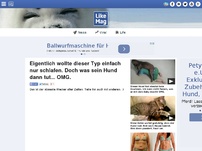 Bild zum Artikel: Eigentlich wollte dieser Typ einfach nur schlafen. Doch was sein Hund dann tut... OMG.