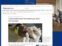 Bild zum Artikel: Costa Rica: Tukan bekommt Schnabel aus dem 3D-Drucker