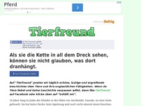 Bild zum Artikel: Als sie die Kette in all dem Dreck sehen, können sie nicht glauben, was dort dranhängt.