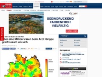 Bild zum Artikel: Vor allem der Süden ist betroffen - Über eine Millionen waren beim Arzt: Grippe greift rasant um sich