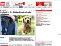 Bild zum Artikel: Polizist in Zivil tötet Hund mit vier Schüssen