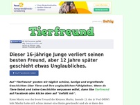 Bild zum Artikel: Dieser 16-jährige Junge verliert seinen besten Freund, aber 12 Jahre später geschieht etwas...