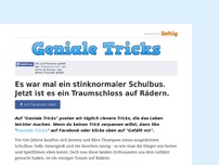 Bild zum Artikel: Es war mal ein stinknormaler Schulbus. Jetzt ist es ein Traumschloss auf Rädern.