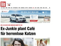 Bild zum Artikel: Ein Kater hat ihn gerettet - Ex-Junkie plant Café für herrenlose Katzen