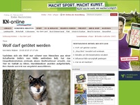 Bild zum Artikel: Wolf darf getötet werden