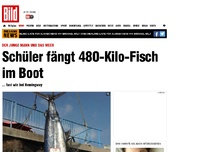 Bild zum Artikel: Fast wie bei Hemingway - Schüler fängt 480-Kilo-Fisch