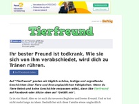 Bild zum Artikel: Ihr bester Freund ist todkrank. Wie sie sich von ihm verabschiedet, wird dich zu Tränen rühren.