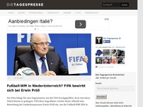 Bild zum Artikel: Fußball-WM in Niederösterreich? FIFA bewirbt sich bei Erwin Pröll