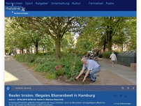 Bild zum Artikel: Realer Irrsinn: Illegales Blumenbeet in Hamburg