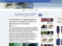 Bild zum Artikel: Sie trösteten sich gegenseitig im Tierheim. Erst dadurch finden sie gemeinsam ein Zuhause.