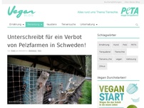Bild zum Artikel: Unterschreibt für ein Verbot von Pelzfarmen in Schweden!