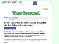 Bild zum Artikel: 10 cm von ihren Pantoffeln weg erwartet sie der Schock ihres Lebens.