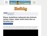 Bild zum Artikel: Dieser Autofahrer bekommt den Schreck seines Leben, dabei sieht diese Omi so harmlos aus.