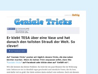 Bild zum Artikel: Er klebt TESA über eine Vase und hat danach den tollsten Strauß der Welt. So clever!