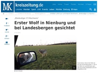 Bild zum Artikel: Erster Wolf in Nienburg und bei Landesbergen gesichtet