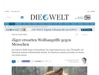 Bild zum Artikel: Raubtiere: Jäger erwarten Wolfsangriffe gegen Menschen
