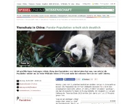 Bild zum Artikel: Tierschutz in China: Panda-Population erholt sich deutlich