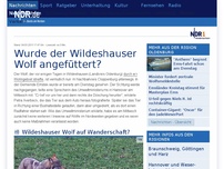 Bild zum Artikel: Wolfsberater bestätigt Wolf in Wildeshausen