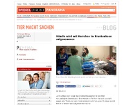Bild zum Artikel: Tier macht Sachen: Hündin wird mit Herrchen im Krankenhaus aufgenommen