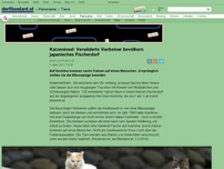 Bild zum Artikel: Insel Aoshima - Katzeninsel: Verwilderte Vierbeiner bevölkern japanisches Fischerdorf