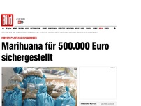 Bild zum Artikel: Riesige Indoor-Plantage - Marihuana für 500.000 Euro sichergestellt