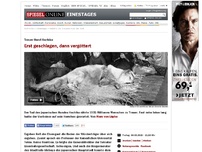 Bild zum Artikel: Treuer Hund Hachiko: Erst geschlagen, dann vergöttert