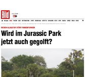 Bild zum Artikel: Mitten im Turnier! - Riesen-Alligator besichtigt Golfplatz